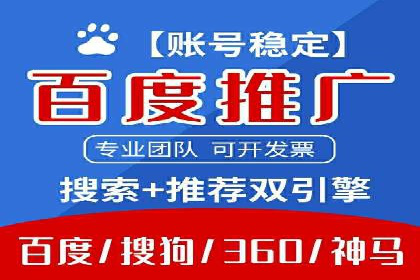 经典案例：SEM代运营服务公司的成功之路